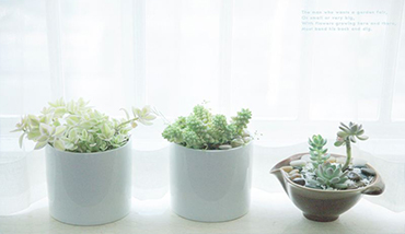 微信推廣_營銷_微官網