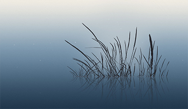 網站流量查詢_流量獲取_ 網站流量統計