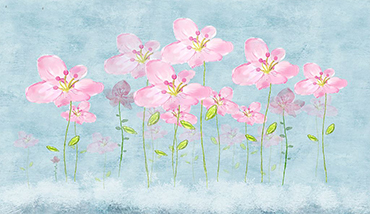 微信指數_微信移動SEO_微信公眾平臺