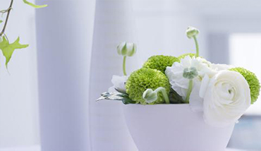 微信代運營_公眾號運營_網絡推廣