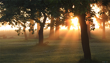 手機APP定制_微信商城開發_網站建設