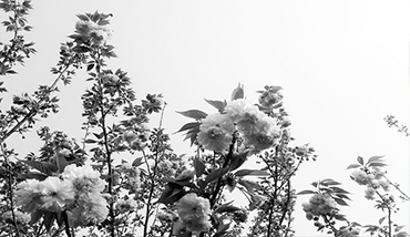 微網站建設_軟件開發_網站建設_電子商務平臺開發