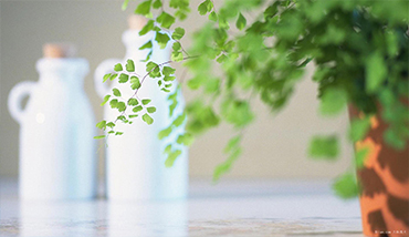 APP開發_網站開發_網站建設