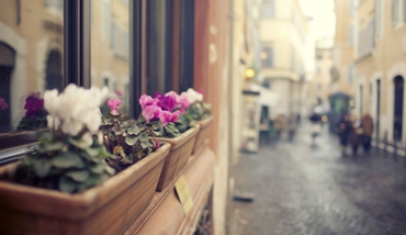 微信小程序開發(fā)_微信公眾號(hào)開發(fā)_微信商城系統(tǒng)開發(fā)_公眾號(hào)代運(yùn)營(yíng)