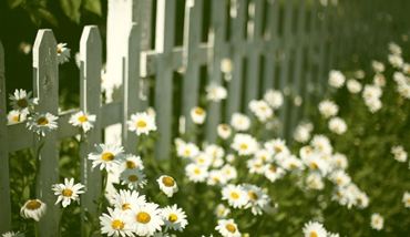 APP開發_微信商城開發_網站建設_公眾號運營_微信推廣