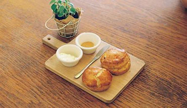 手機app開發_餐飲app開發_網站建設