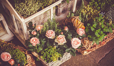 微信小程序開發(fā)_公眾號(hào)運(yùn)營(yíng)_微信推廣